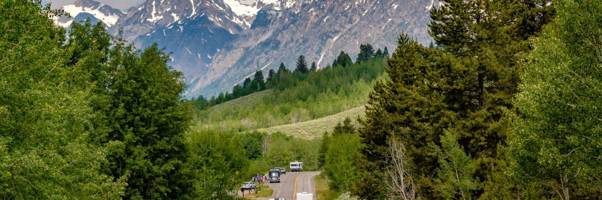highway going through trees toward rocky mountains