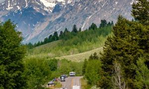 highway going through trees toward rocky mountains